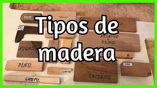 ✅ TIPOS de MADERA  APRENDE con estas MUESTRAS [upl. by Laryssa189]