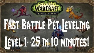 WoW Easy Battle Pet Leveling  Level 1 to 25 in 10 Minutes [upl. by Lois]