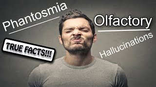 Phantosmia True Facts About Olfactory Hallucinations [upl. by Verada]