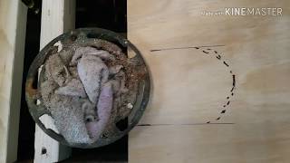 Fix rotting floor under toilet [upl. by Leavy]