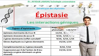 épistasie les interactions géniques [upl. by Elocim]