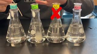 Enzyme Experiments Factors That Affect Enzyme Activity [upl. by Trautman]