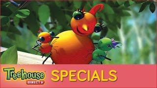 Miss Spiders Sunny Patch Kids  Special [upl. by Aikal]