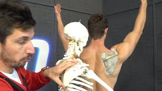 Neck Pain Relief  How to Massage Your Neck MoveU [upl. by Lindeberg]