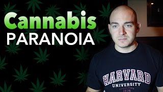 Cannabis Paranoia [upl. by Eelyab]