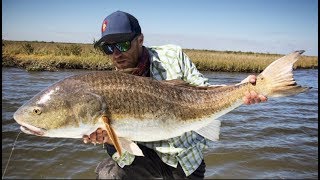 FLY FISHING FOR REDFISH BASICS 101 INTRODUCTION FOR BEGINNERS [upl. by Grizel]