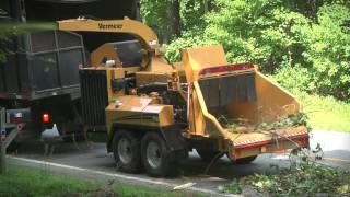 AX19 Vermeer Brush Chipper  Vermeer Tree Care Equipment [upl. by Vance]