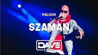 Paluch  Szaman Dave Blend Remix [upl. by Ytinirt]