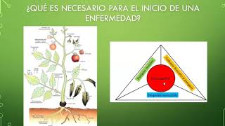 Introducción a la Fitopatología  parte 1 [upl. by Fagan]