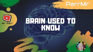 Brain Used To Know Song [upl. by Tillion245]