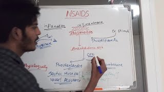 NSAIDs Pharmacology [upl. by Caspar]