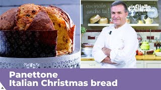 PANETTONE Italian Christmas bread traditional recipe [upl. by Hooker]