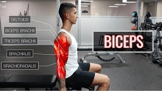 The Best ScienceBased Bicep Workout  ARMS Part 12 [upl. by Ivory]