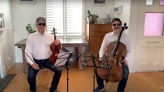 Beethoven Duet for Viola and Cello [upl. by Euhc63]