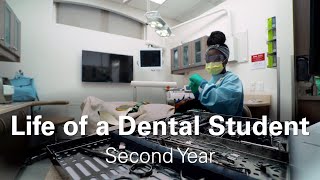 Life of a Second Year Dental Student  Claudie [upl. by Oam]