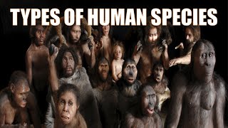 14 Different Types of Human Species  Explained [upl. by Hnirt]