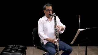 Instrument Bass Clarinet In Depth [upl. by Aiotal]