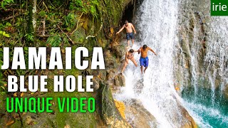 BLUE HOLE JAMAICA Things other videos wont tell you Jamaica Video Guide [upl. by Adniuqal904]