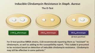 Antibiotic Resistance Antibiotics  Lecture 9 [upl. by Ahsenrat]