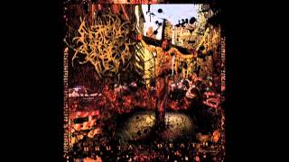 Abated Mass Of Flesh  Brutal Death 2013 Full Album [upl. by Niala]