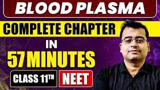 BLOOD PLASMA in 57 Minutes  Part  1  Class 11 NEET [upl. by Anidnamra]