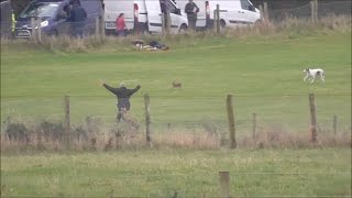 Irelands cruel coursing Hare desperately tries to escape from dogs [upl. by Vaclava]