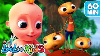 The Ants Go Marching  S2EP79 Musical Adventure Collection  LooLoo Kids Songs for Kids [upl. by Oliy]