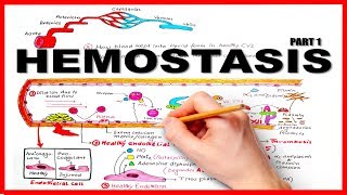 HEMOSTASISBLOOD CLOTTING MECHANISM part 1Natural Anticoagulants [upl. by Suhcnip]