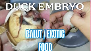 🔴ASMR Balut Duck Embryo EXOTIC DELICACY ep19 [upl. by Stulin]