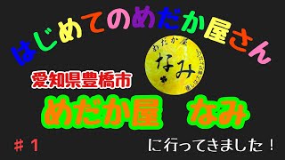 【めだか】めだか屋なみへ行ってきました！【メダカ飼育】【めだか屋】 [upl. by Neelloc992]