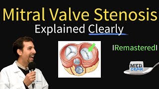 Renal  Filtration Reabsorption and Secretion Overview [upl. by Renferd528]