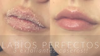 Labios perfectos TRES exfoliantes caseros  ANIIE’S DIARIES [upl. by Kilar]