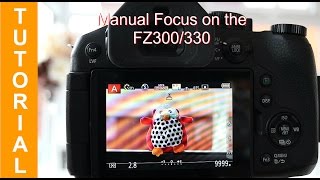 FZ300 FZ330 Manual Focus Explained [upl. by Aimek]