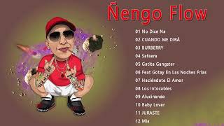 Ñengo Flow Exitos  Ñengo Flow Sus Mejores Éxitos MIX 2021 [upl. by Nimrahc]