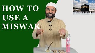 How to Use a Miswak [upl. by Schick]