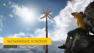 GrubSon ft Jarecki BRK  10 Słowiańskie korzenie COŚ WIĘCEJ CD 1 prod Donatan [upl. by Ninon]