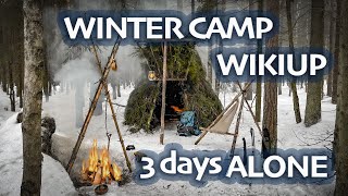 Winter Bushcraft  WIKIUP Shelter  3 Days ALONE in WINTER Forest  BUSHCRAFT Trip amp Skills  ASMR [upl. by Ahsiret928]