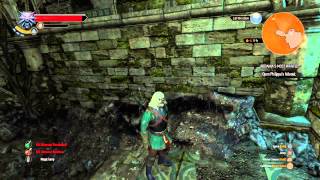 The Witcher 3 Wild Hunt QUEST REDANIAS most wanted open philippa hideout [upl. by Eidroj]