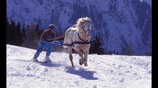 Skijoring  The Incredible Horse Skiing Sport [upl. by Nairbo]