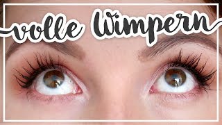 Lange Wimpern ohne Wimpernverlängerung – WIMPERNSERUM IM TEST TypischSissi [upl. by Ailaza]