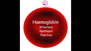 Part 3 Haemoglobin  Structure Synthesis Types and Function [upl. by Dawkins]