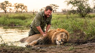 Man Saves a Drowning Lion What Happens Next Is Unbelievable [upl. by Theola]