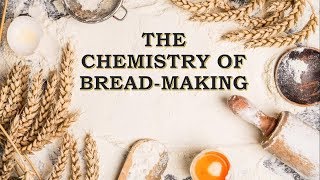 The Chemistry of Breadmaking [upl. by Asirak]