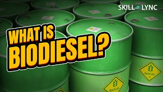 What is BIODIESEL  SkillLync [upl. by Paulina]