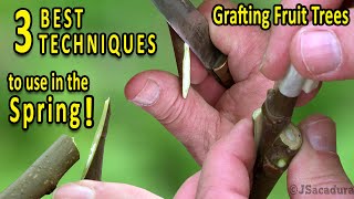 Grafting Fruit Trees  The 3 BEST Grafting Techniques for SPRING [upl. by Seafowl]