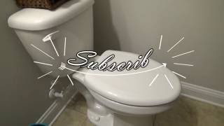 Replacing a toilet seat with Bemis Whisper Close Toilet Seat [upl. by Phelgon542]