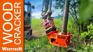 Holzschneidkopf Woodcracker CL260 – kompakt und kräftig [upl. by Anividul]