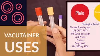 Blood Collection Vacutainer  Uses  Ateev Chandna [upl. by Demy]