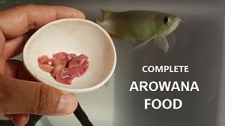 Best Foods for Arowana Fish  I feed my arowana [upl. by Bajaj]