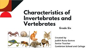 Characteristics of Invertebrates and Vertebrates [upl. by Euqnomod276]